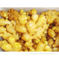 Buy Fresh Young Ginger (best price)